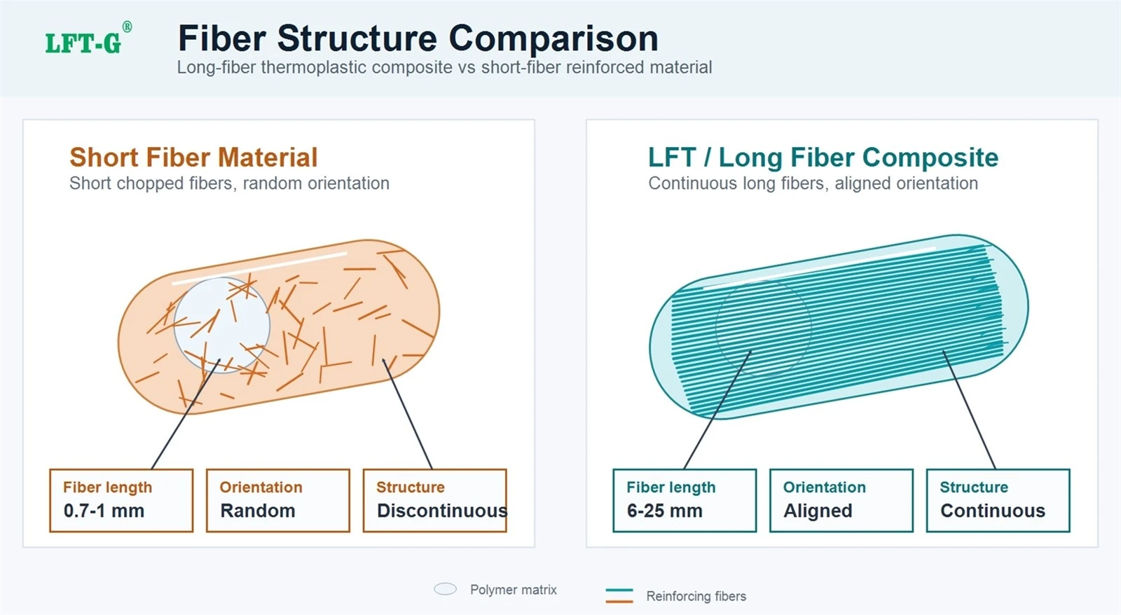lft long fiber-vs-short-fiber-internal-structure-v2 from Xiamen LFT lft long fiber-vs-short-fiber-internal-structure-v2 from Xiamen LFT