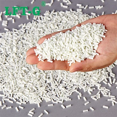 LFT-G   LGF30   PA6